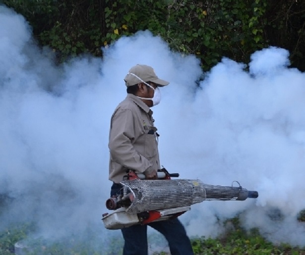 dengue1