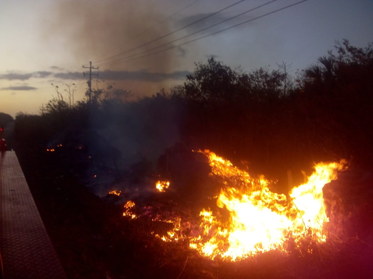Se reporta primer incendio forestal en Kantunilkin