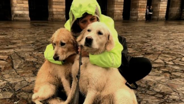 perros-detectan-cancer