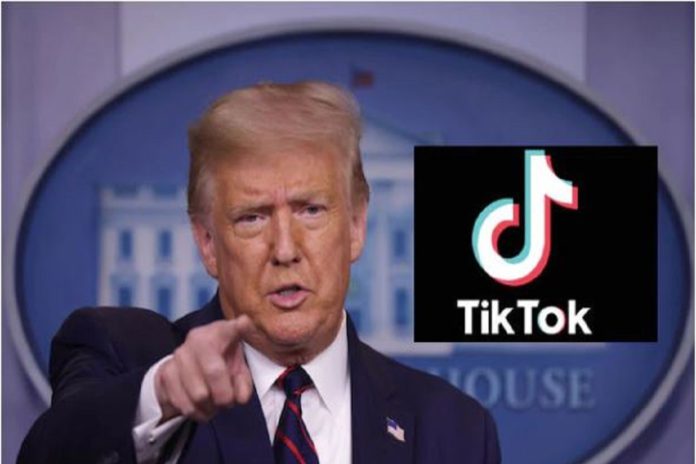113976 http://xeva.com.mx/nota.cfm?id=113976&t=donald-trumpprohibira-tiktok-en-eeuu