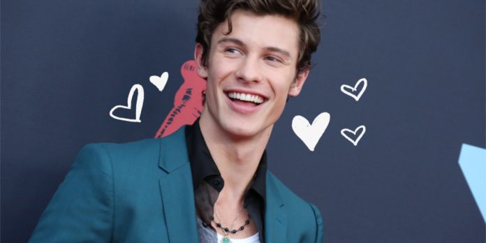 shawn-mendes http://www.mexmads.com/shawn-medes-tendra-su-propio-documental-en-netflix/